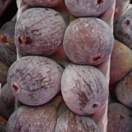 Frozen Fig