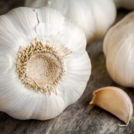 Garlic